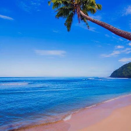 Survivor Samoa Beach Resort Falelatai 外观 照片