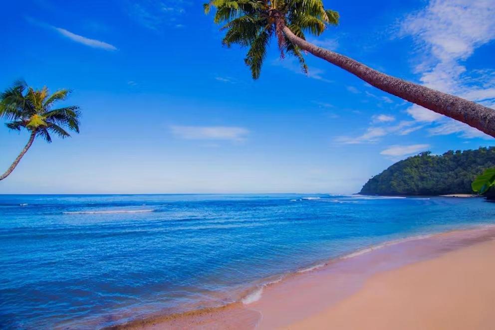 Survivor Samoa Beach Resort Falelatai 外观 照片
